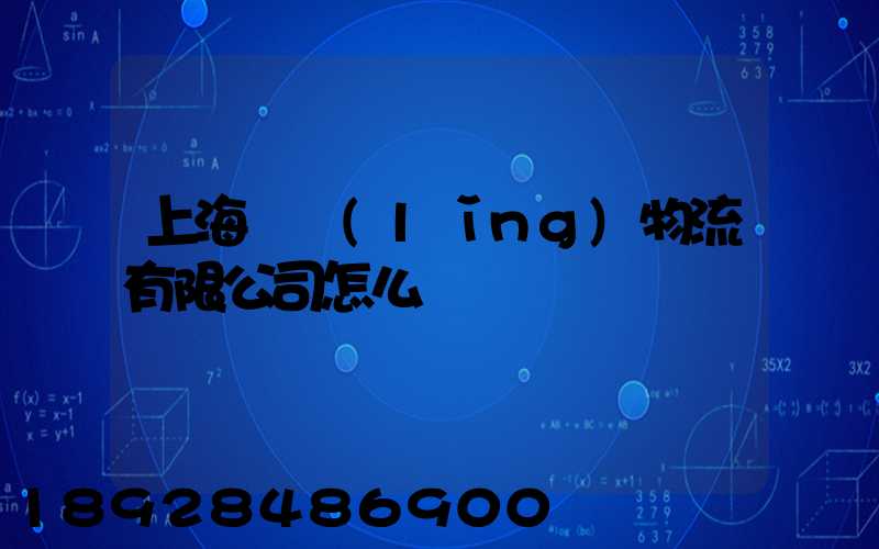 上海華領(lǐng)物流有限公司怎么樣