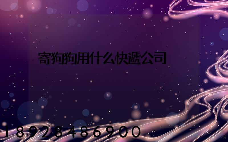 寄狗狗用什么快遞公司