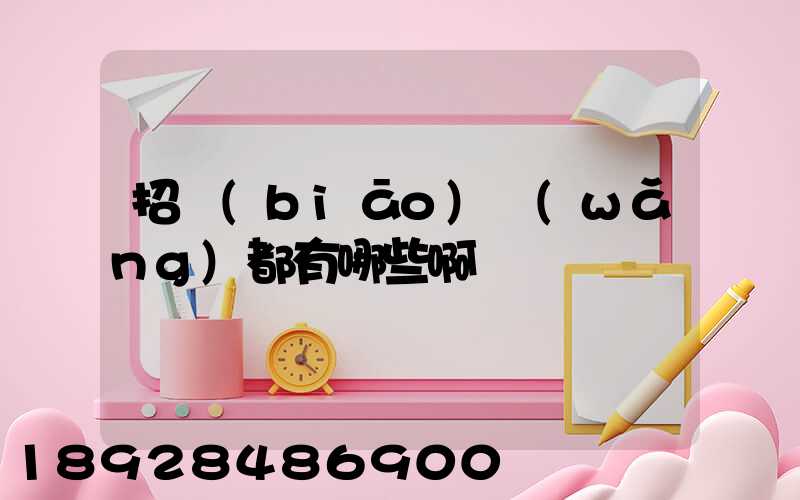招標(biāo)網(wǎng)都有哪些啊